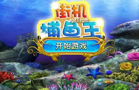 AG捕鱼王网站解析：潜藏的法律风险与社会影响